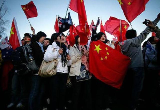 漂亮鹦鹉救援